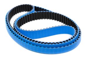 Serpentine Belt